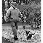 Games People Play.......and dogs too.