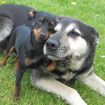 Love is in the air :-)