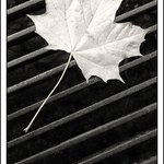 Vzpomínka na podzim