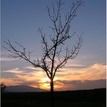 Podvečer v Beskydech