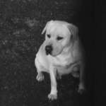 a just sa na teba nepozriem:-)