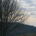 Podzim v Orlických horách