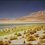 Bolivie - solna jezera (Altiplano)