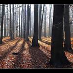 Zima se blíží....