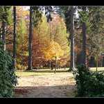 Zlato se se dá najít i v říjnu.