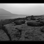 Vypuštěné Máchovo jezero I.