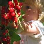 Červená přitahuje