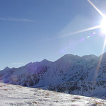 Roháče