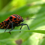 Ještě kousek a jsem tam.