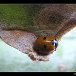 Pozor, čerstvý lak!