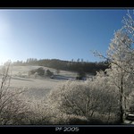 PF 2005 - N E B O D O V A T!!!