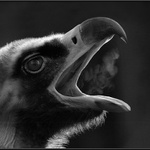  <b>UUÁÁÁÁ TA TRÁVA MÁ ŘÍZ ! ! !<HR></b><b>