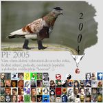 <b>PF 2005</b><br><b>