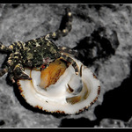 setkání u večeře