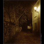 V nočních uličkách II.