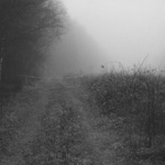 Dobrůtkovi k Vánocům