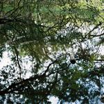 *** I R E L A N D - Cong (Mayo) ***