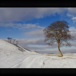 odsouzeni k  samotě...