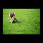 Připravit....Ke startu...