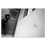 pavouczek a pejszaczek