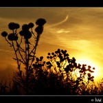 Konec podzimního dne