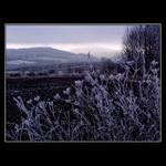 ***LEDOVÉ KRÁLOVSTVÍ***