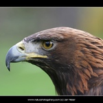 Letošní poslední portrét