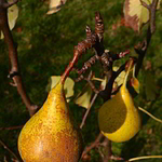 Hruška