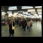 Shon - rychlá činnost