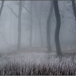 obrázky z hmly - I.