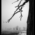 ...pod taktovkou Krušnohorce...