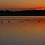 Konec jednoho krásného dne