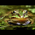 Myslím to upřímně...