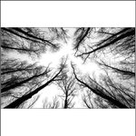 není nutno aby bylo přímo veselo