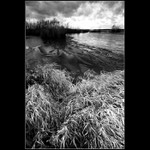 ...mušovská zátoka...