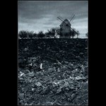 se svou troškou do mlýna