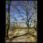 ..:: CestA dO NovÉho RokU ... ::..