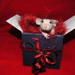 <b>Pěkné Vánoce a štastný Nový Rok :)