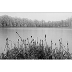 Moje rybníky VII.