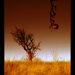 ...POSLEDNÍ Z RÁJE...