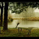 Rákosníček není doma....odjel na Mallorku