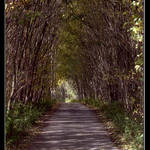 Stráženeckej tunel