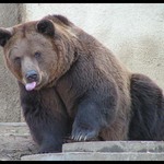 Dělej připadám si divně !