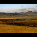 České Středohoří II.