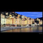 Camogli IV