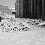 nevim jestli odjedou?