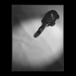 Toy(s)<br>in the spotlight