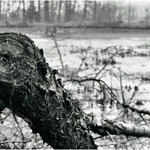 Podzimní melancholie II