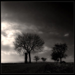 ...ZASTAV SE...(...mlčící krajiny...)