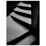 <b> Black & Gray <br>